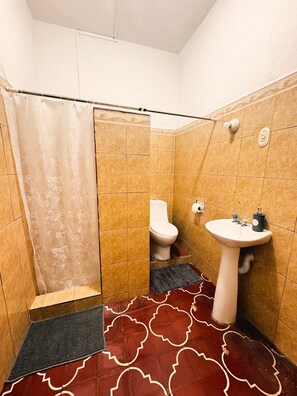 Sèche-cheveux, serviettes fournies, savon, papier toilette