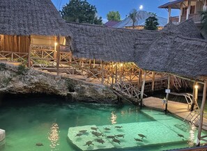 Ảnh chưa phân loại, 4 trong số 16 ảnh, nút