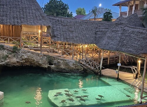 Nungwi Turtle Cave resort 