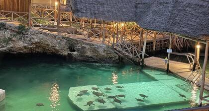 Nungwi Turtle Cave resort