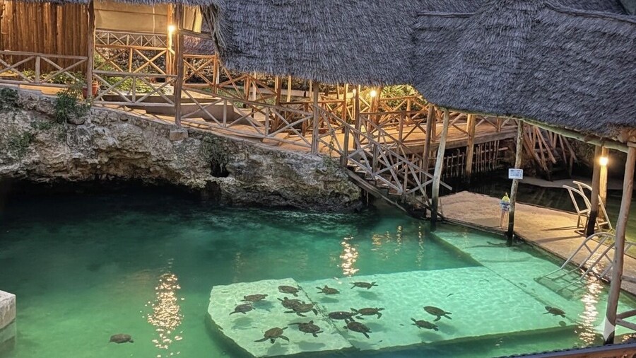 Nungwi Turtle Cave resort