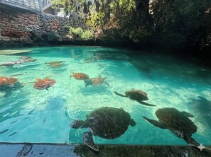 Unclassified image, 2 of 20, button