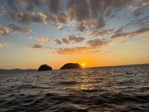 Miscellaneous - Across from Beach | Walkable, Central & Quiet (Coco)