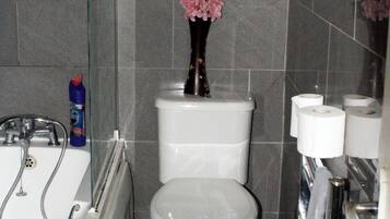 Hair dryer, towels, toilet paper
