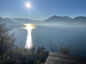 Immagine non classificata, 3 di 31, pulsante