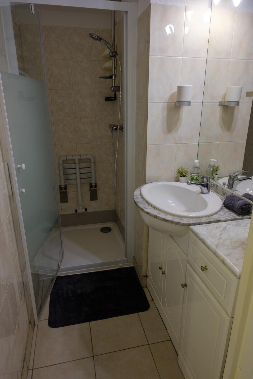 A bathroom with a glass-enclosed shower, a white sink, and a small potted plant on the countertop.