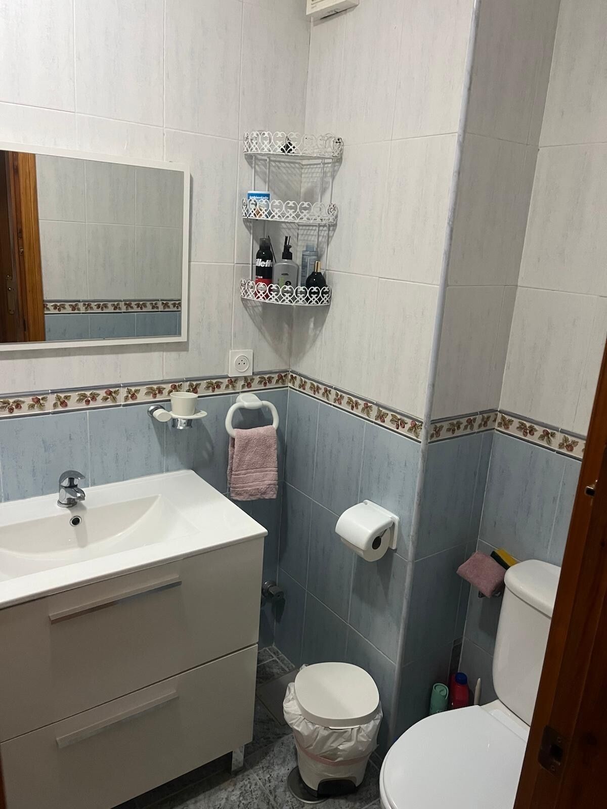A bathroom with a white sink, a mirror, a toilet, and a trash bin.