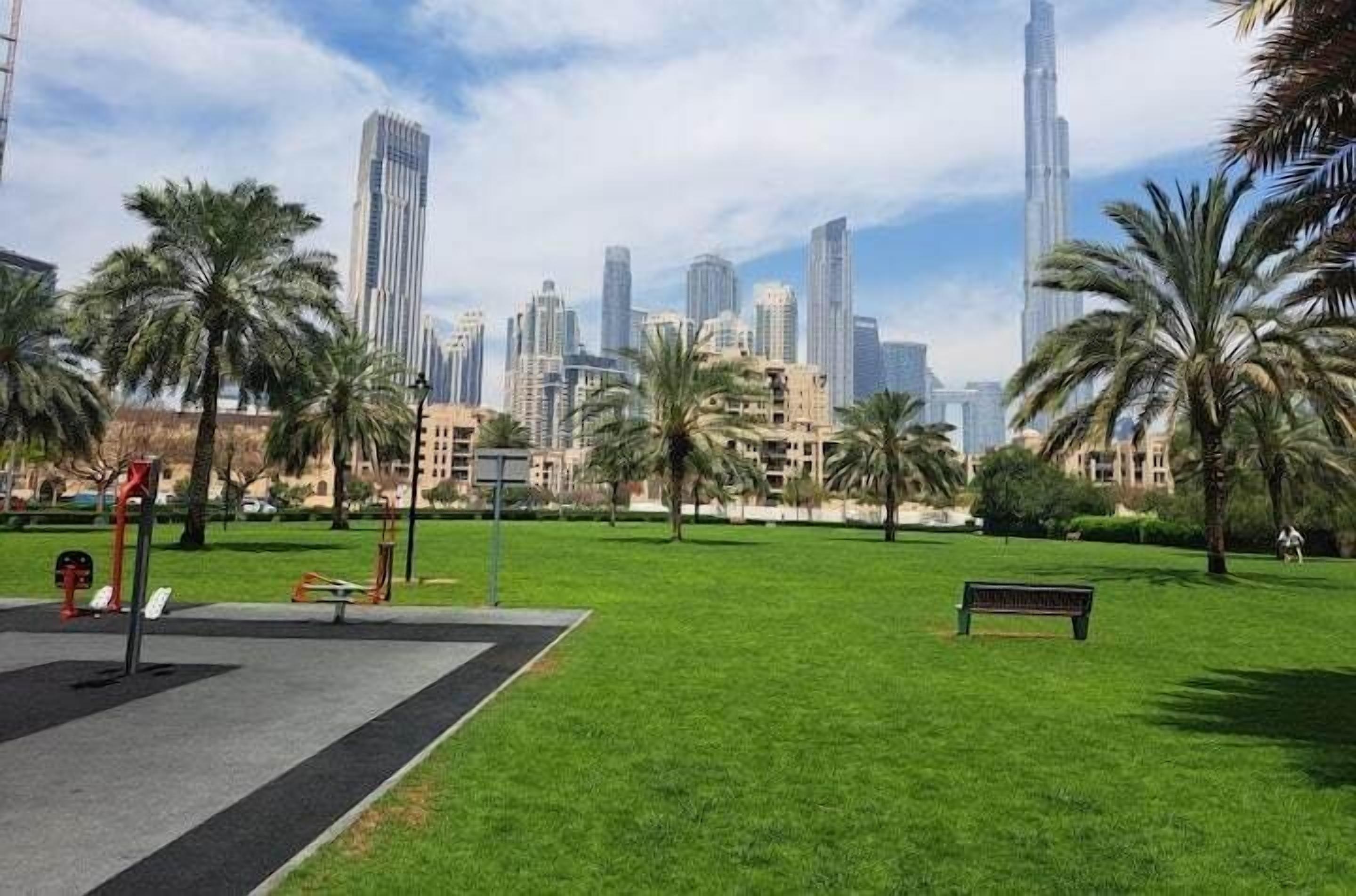 A park with a bench, exercise equipment, and palm trees.