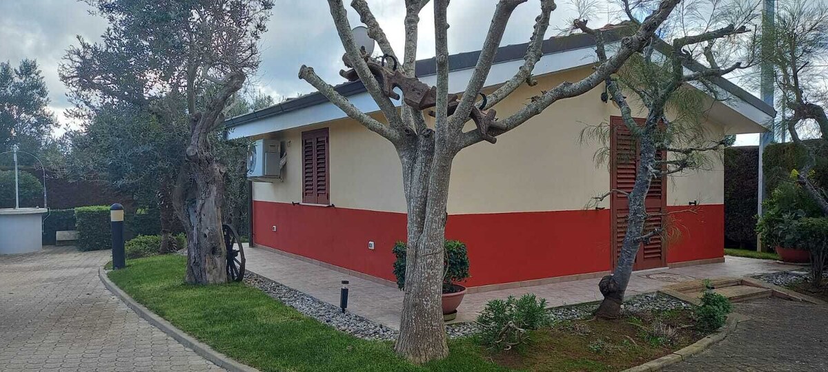 オーナーのプロフィール画像