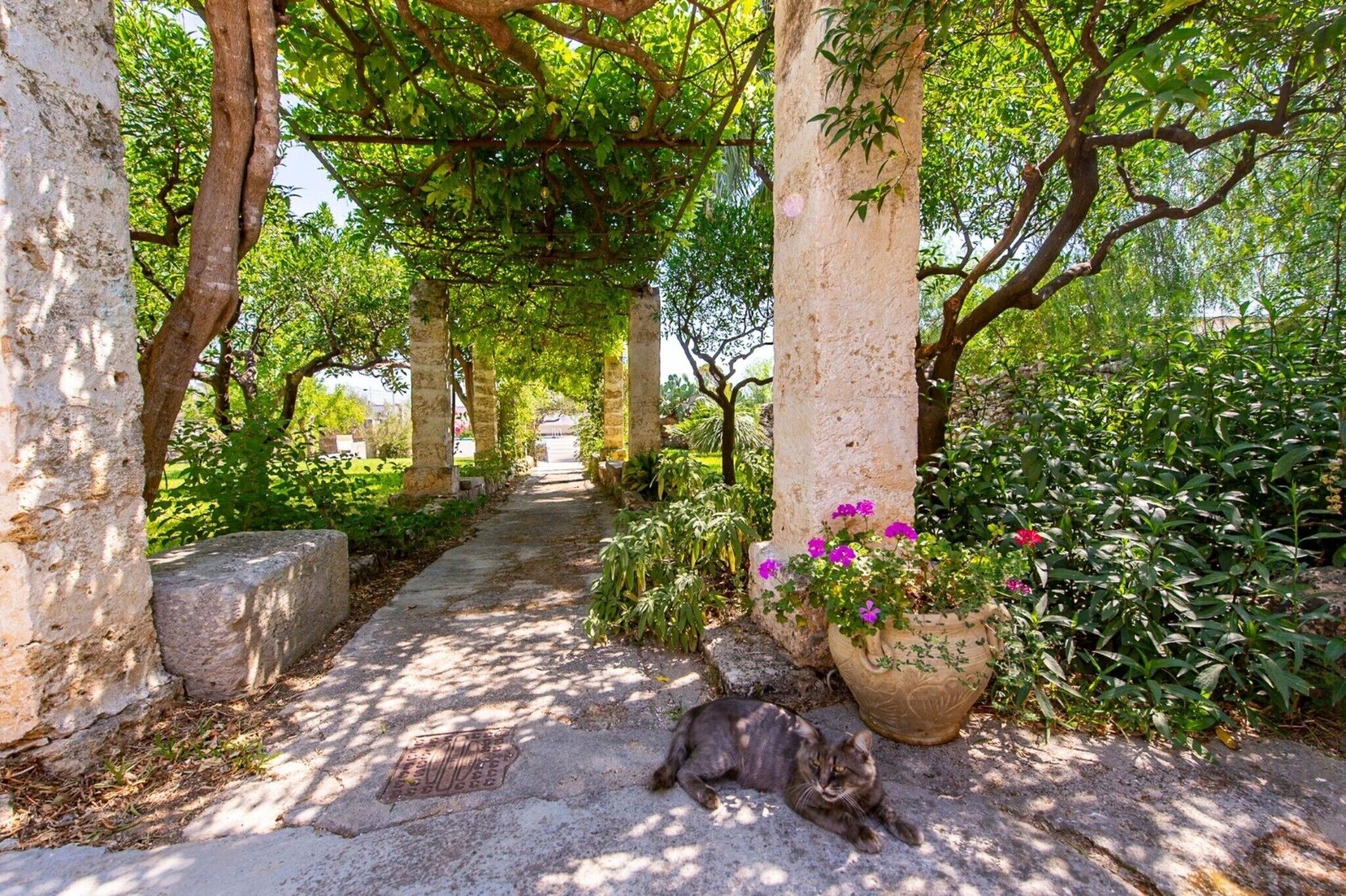 A stone pathway flanked by trees and potted plants, leading to a distant structure.