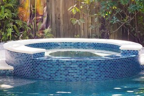 Pool - New ! 3-bedroom Pool Home Oasis! Great Location (Sarasota)