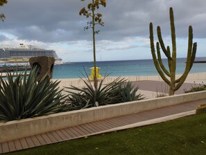 Un paseo marítimo con vistas al mar, un crucero atracado y cactus en primer plano.