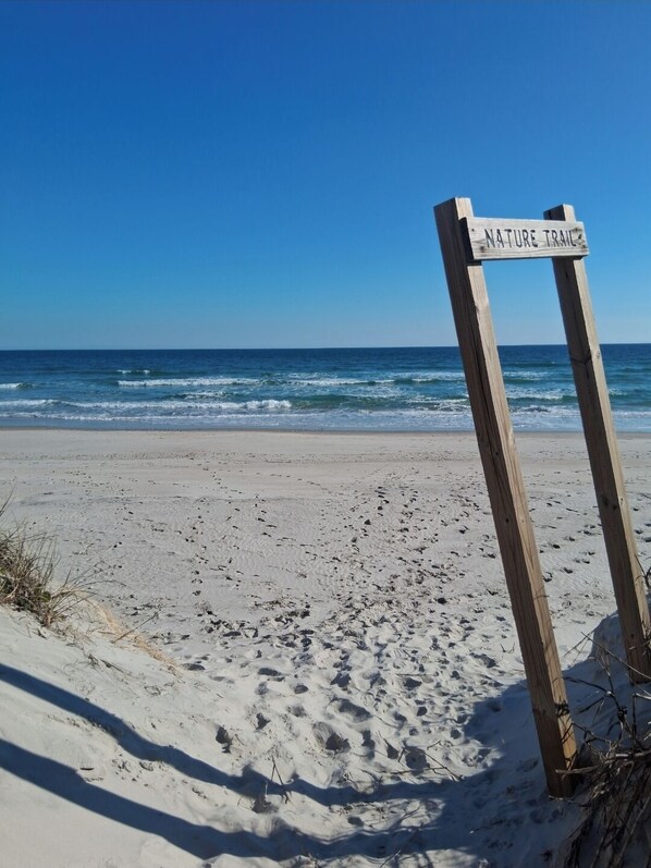 Beach - Grace's Oasis - A Glamping Experience. (Wilmington)