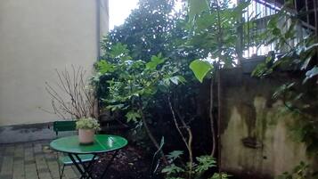 A small outdoor area with a green table and chairs, a potted plant, and a wall with climbing plants.