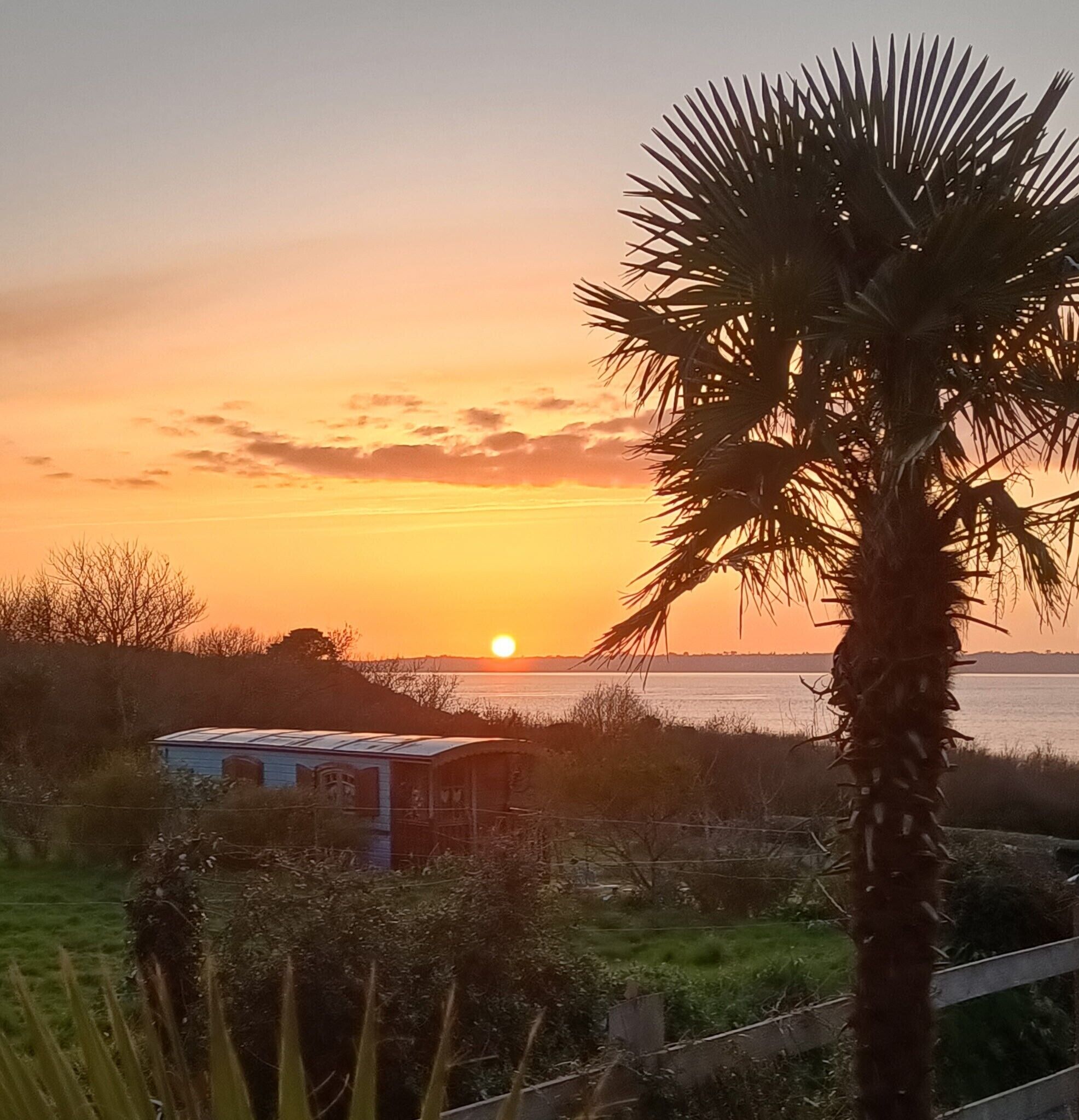 A sunset over a body of water with a palm tree in the foreground and a small building with a sloped roof.