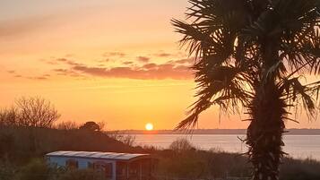 A sunset over a body of water with a palm tree in the foreground and a small building with a sloped roof.