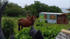 Photo non classée, 3 sur 10, bouton