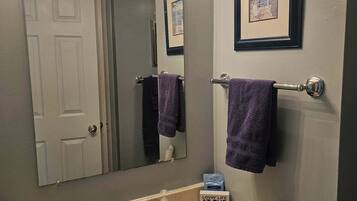 A bathroom with a large mirror, a sink, a towel rack, and a framed picture on the wall.