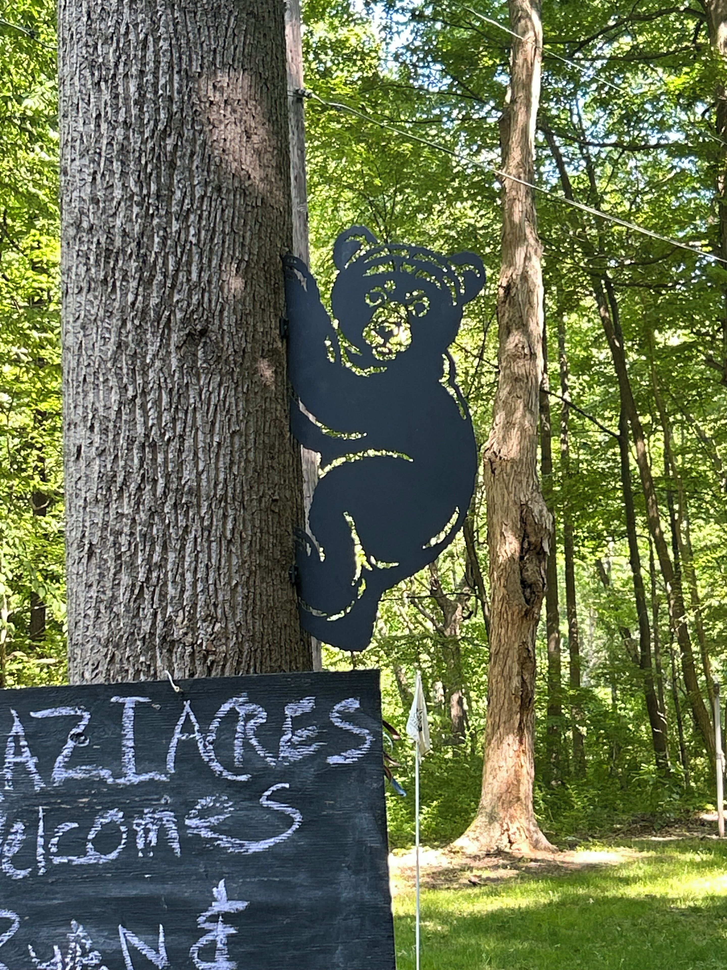 Un árbol con el silueta tallada de un oso y una pizarra con el letrero 'ARLIRES WELCOME'.