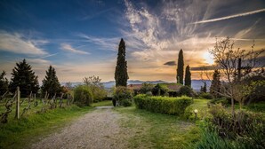 Un sendero de grava que atraviesa un jardín con árboles y arbustos.