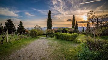 Áreas de la propiedad