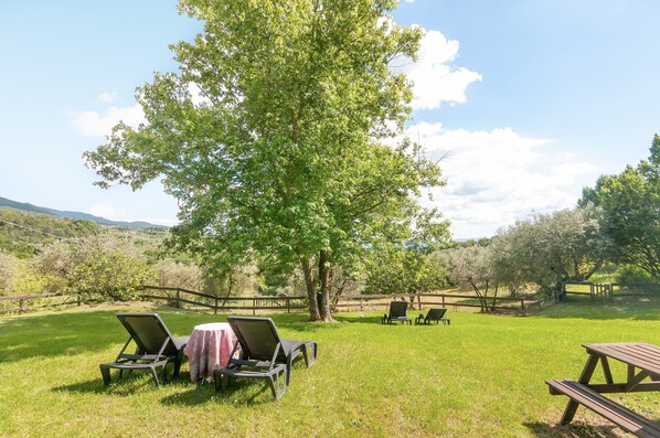 Outdoor dining - Stalla – Rustic Apartment with Terrace and Private Garden (Reggello)