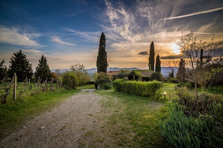 Property grounds. Vin Santo – Independence and Relaxation with Private Garden