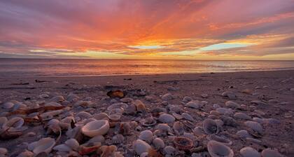 COCO BUNGALOW - All new w/ heated pool, bikes, beach equipment & more