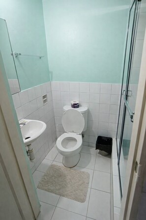 Shower, towels, soap, toilet paper