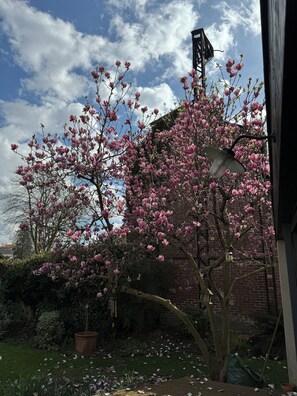 Property grounds - Family home with garden, 50m from the metro. Exceptional charm and calm. (Les Lilas)