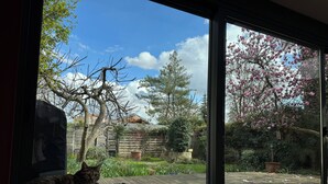 Un gato sobre un sofá junto a un ventanal grande que da a un jardín con terraza de madera, un árbol con flores rosadas y un cielo azul despejado.