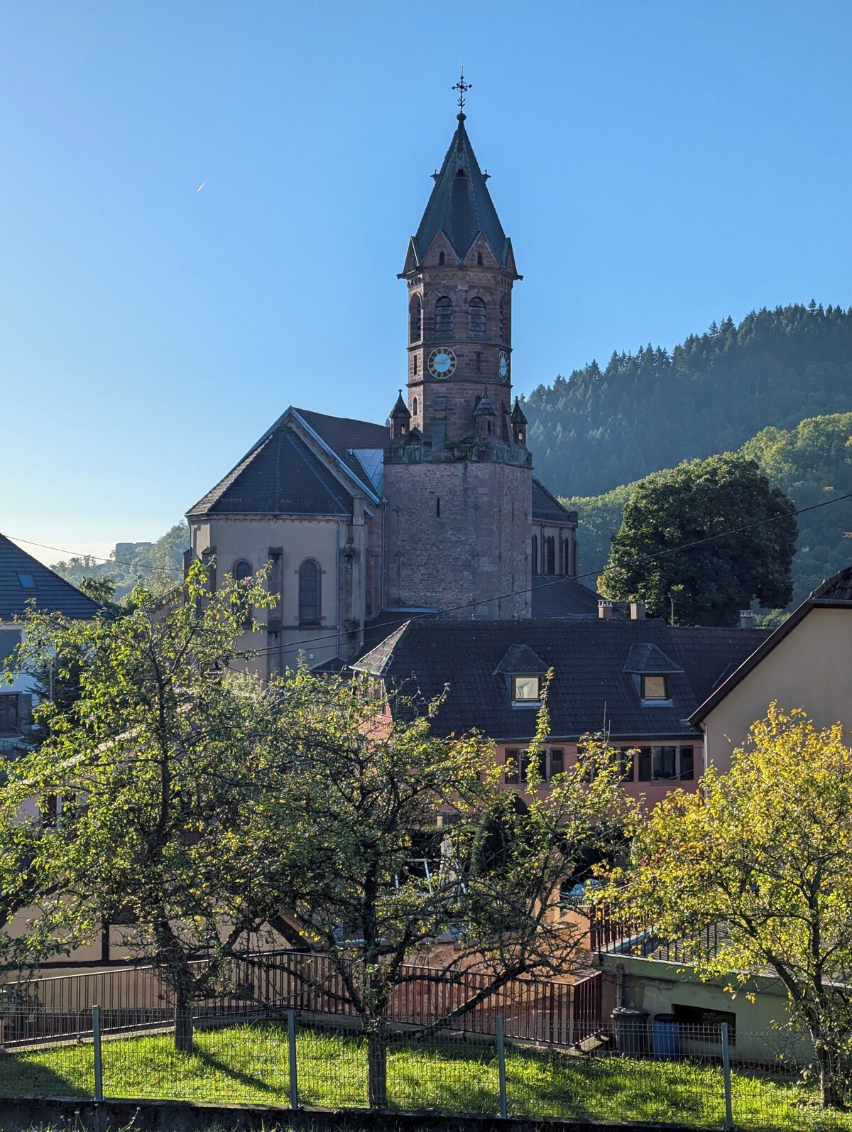 Image de profil de l’hôte