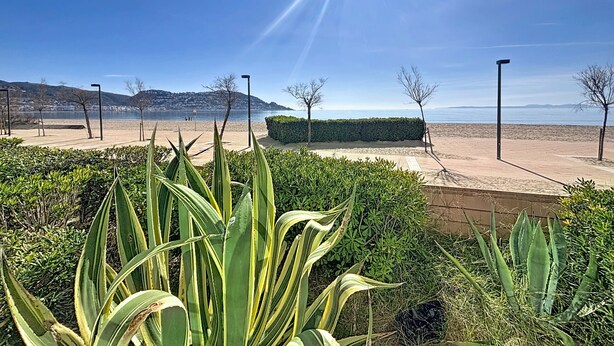 A sunny beach with clear skies, a sandy path, and green plants in the foreground. - LA PLAGE Roses / Roses - INTERimmo (Rosas / Roses)