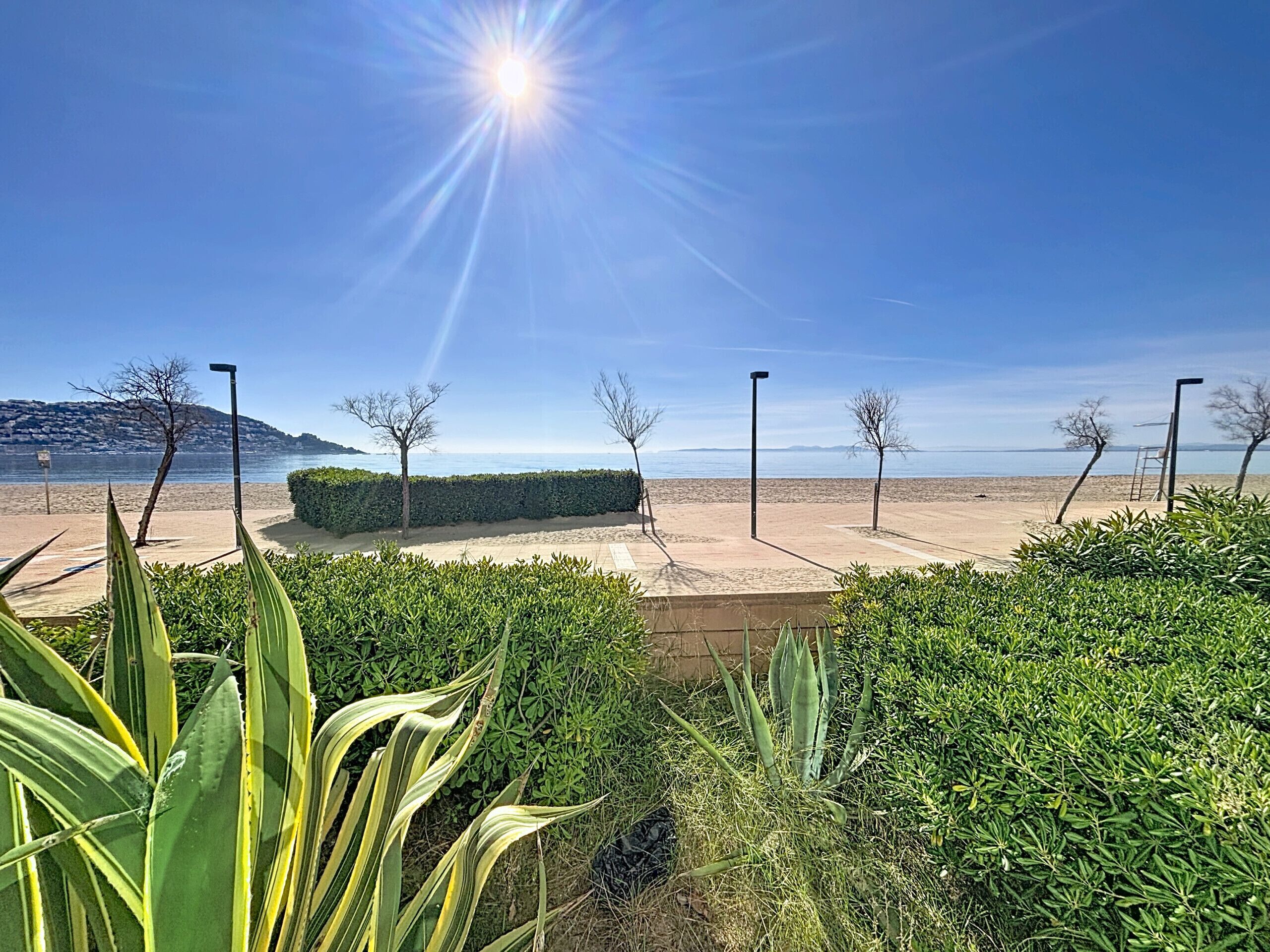 Een strand met een heldere lucht, een zandpad en groene struiken.