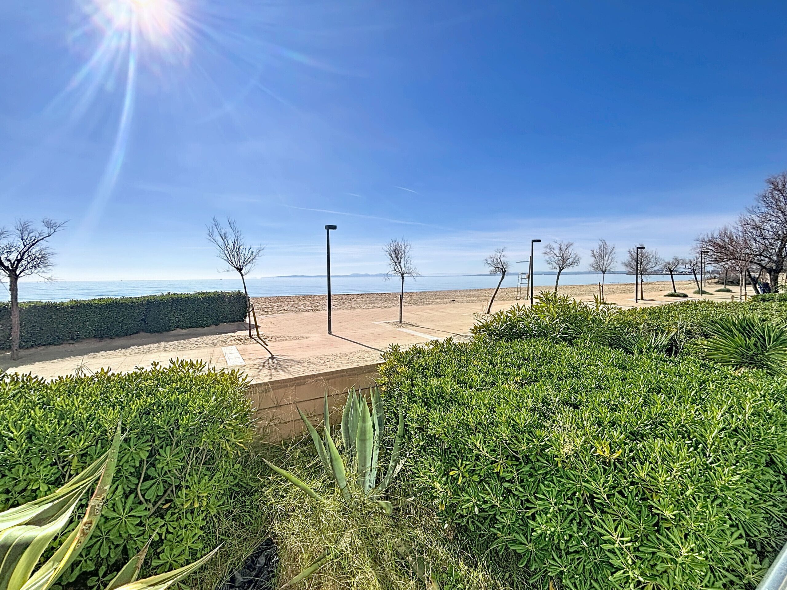 A beach with a clear sky, a sandy path, and green bushes.