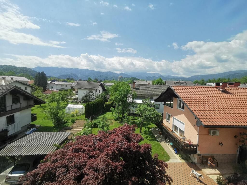 Miscelánea