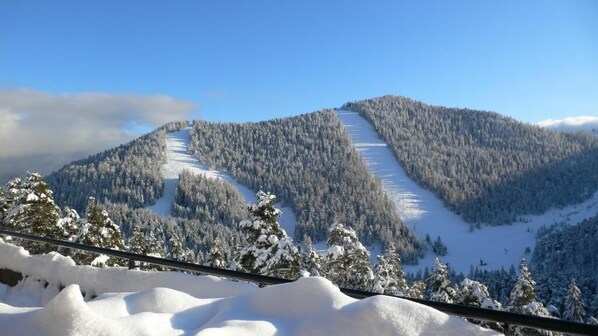 A snow-covered mountain with a ski slope. - ADRECHAS MERCANTOUR (Valdeblore)