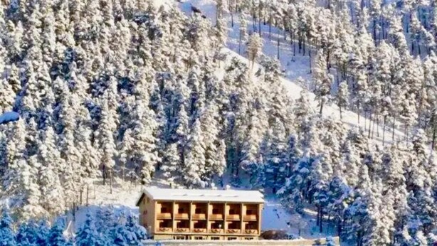Un chalet en bois entouré d’arbres couverts de neige.