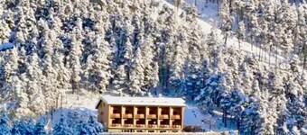 아드레차스 메르칸투르