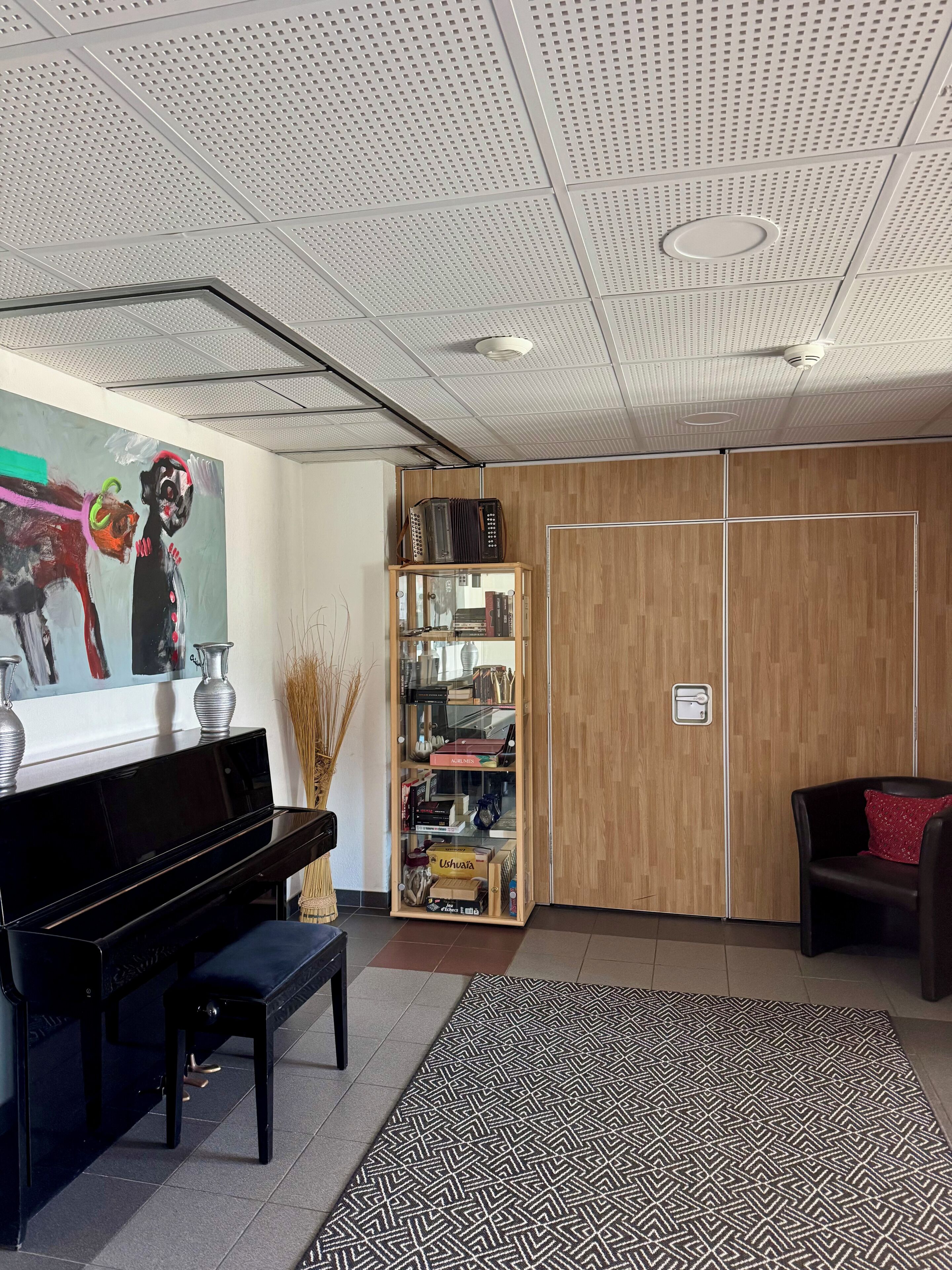 Une chambre moderne avec un piano noir, une bibliothèque, une armoire en bois et un tapis à motifs.