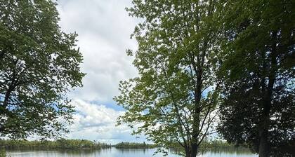 Love nest cottage, steps to the dock, gorgeous waterfront cottage!