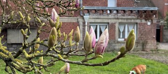 Villa Sainte-Cécile Demeure d'Exception Billiards Table soccer