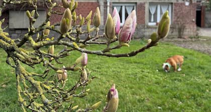 Villa Sainte-Cécile Demeure d'Exception Billiards Table soccer