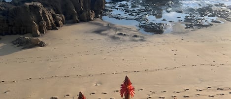 ビーチの近く