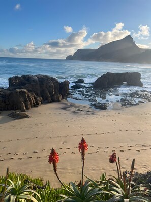 Una playa con formaciones rocosas, cielo azul claro y flores rojas en primer plano.