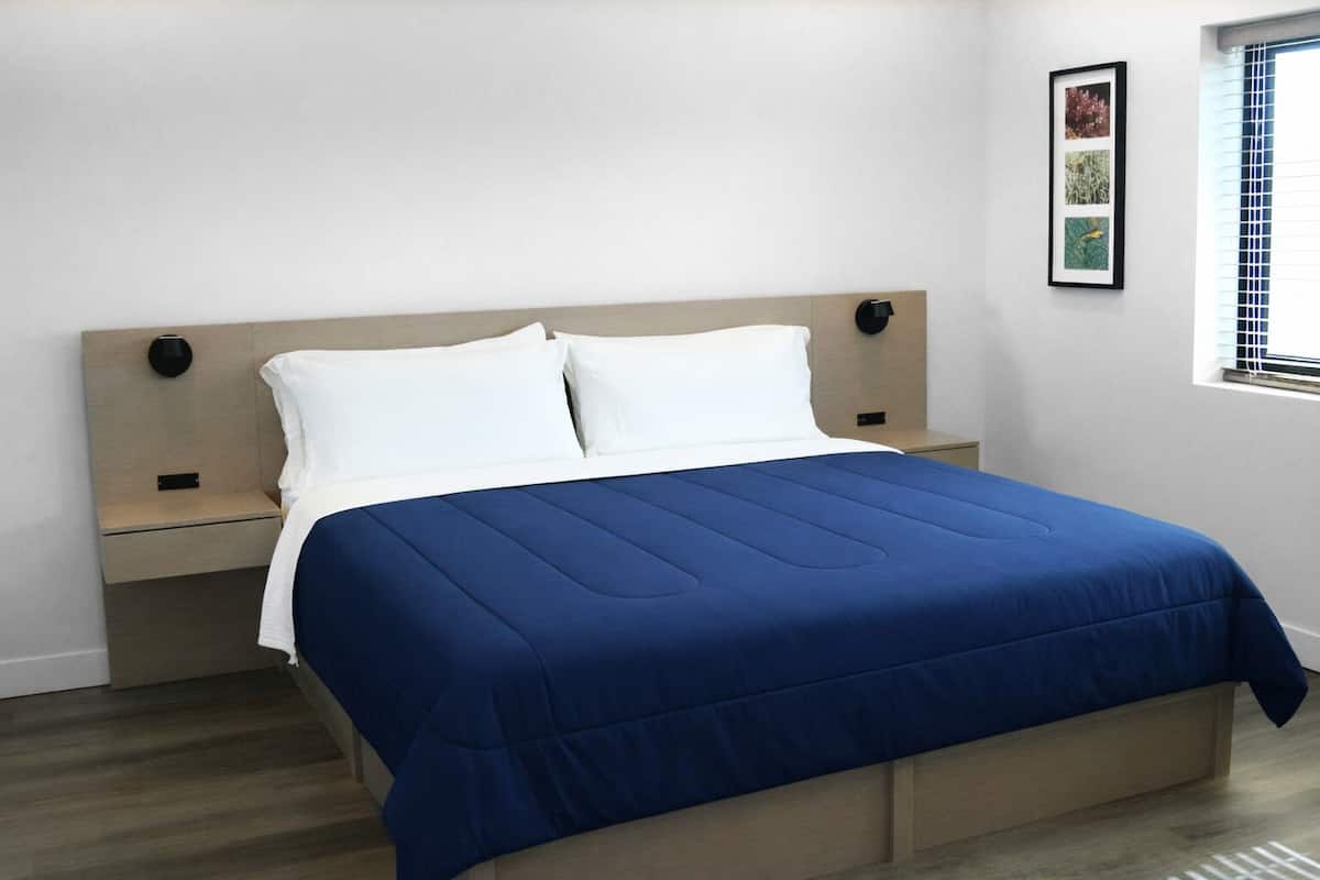 Studio Suite có thiết kế đặc trưng, 1 giường cỡ queen, bếp, quang cảnh kênh