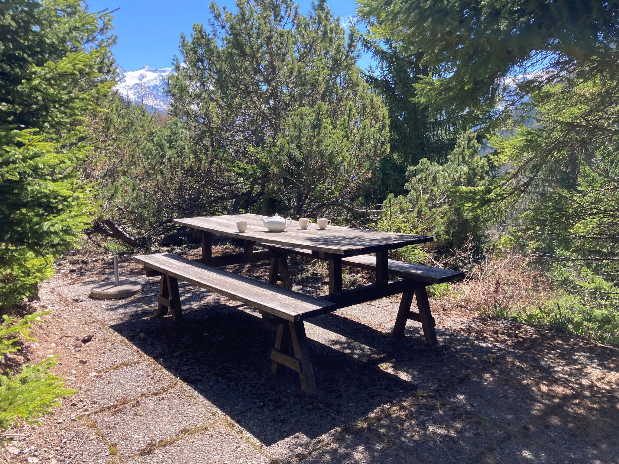 Une table de pique-nique avec des bancs, située dans une zone boisée, avec des montagnes en arrière-plan.