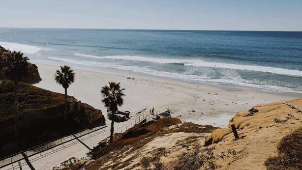 A beach with a clear view of the ocean, a sandy shoreline, and a few palm trees. - Spacious, Designed Ocean Loft in Solana Beach! (Solana Beach)