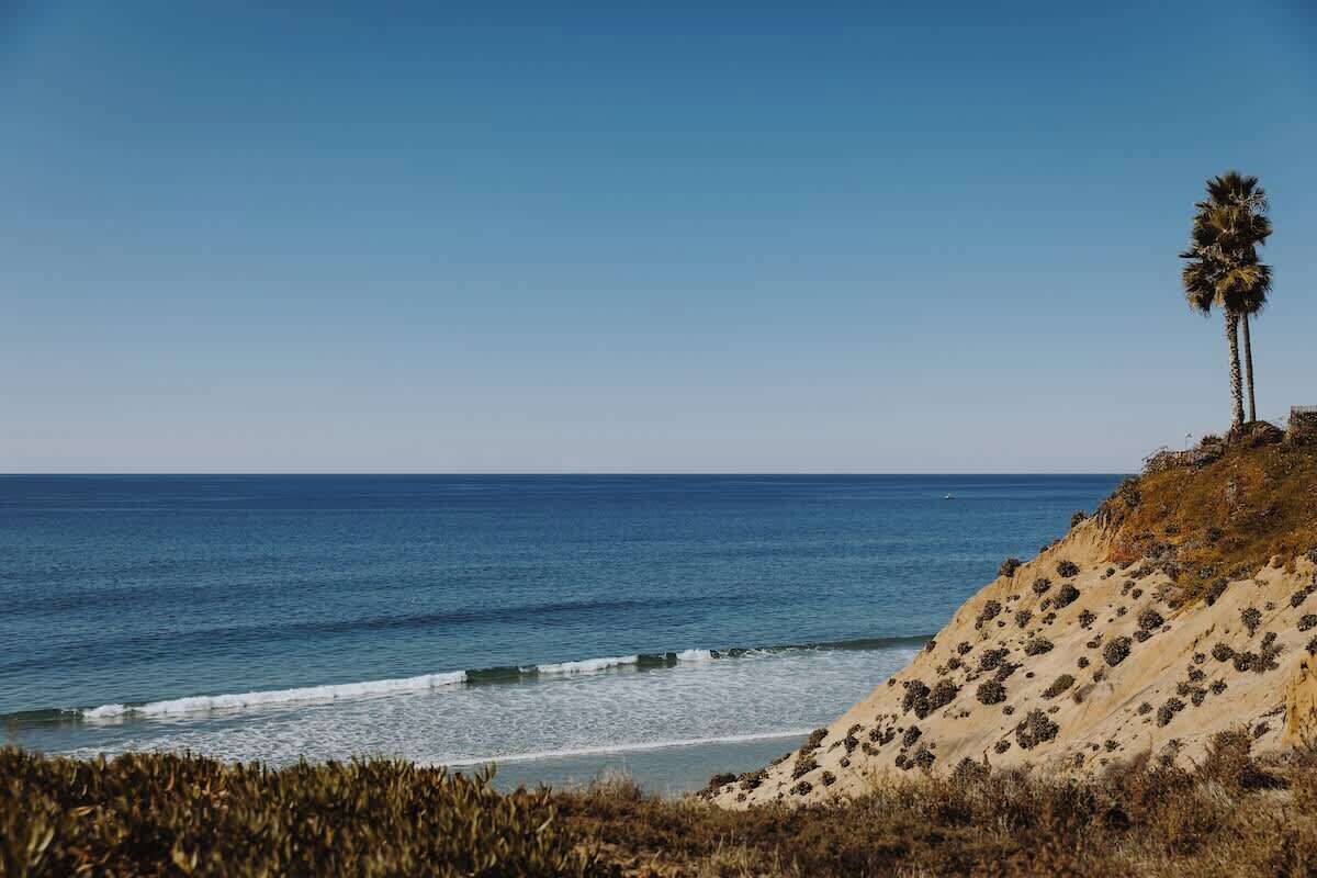 A beach with a clear sky, a palm tree, and a sandy cliff.