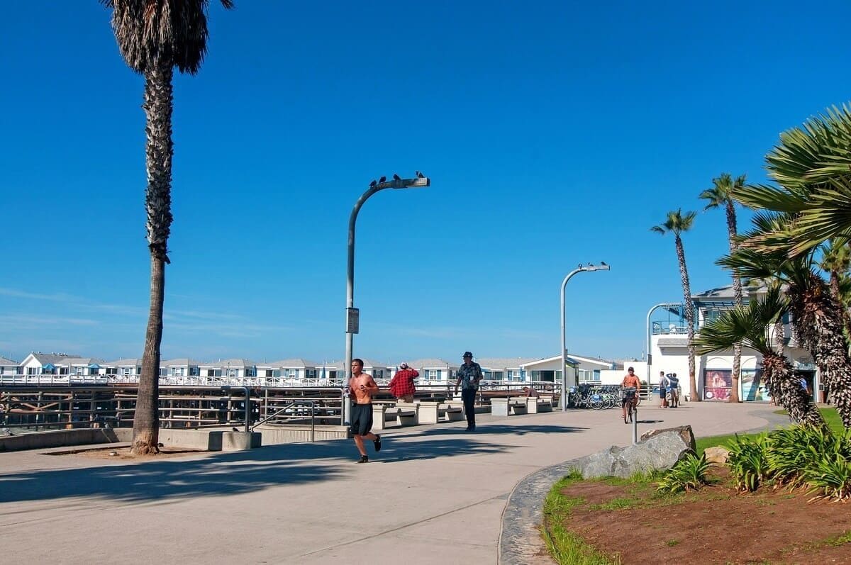 A coastal walkway with palm trees, a clear blue sky, and a view of the sea.